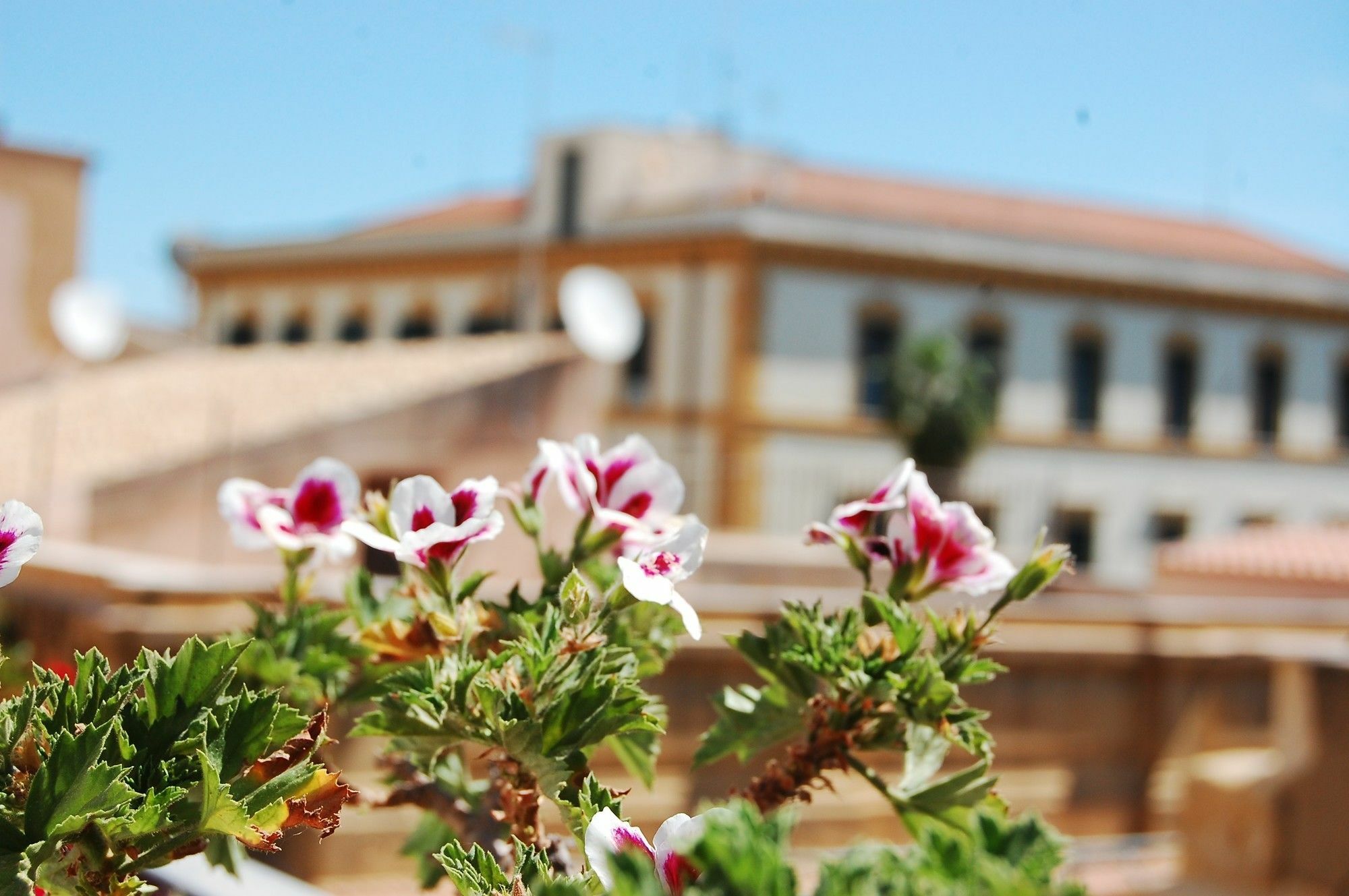 B&B Portatenea Agrigent Exterior foto
