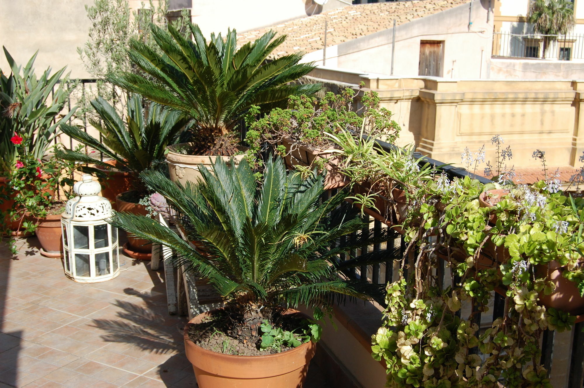 B&B Portatenea Agrigent Exterior foto
